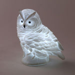 Hibou Veilleuse Lumineux | Réveil Idéal