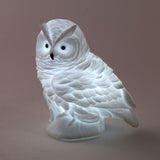 Hibou Veilleuse Lumineux | Réveil Idéal